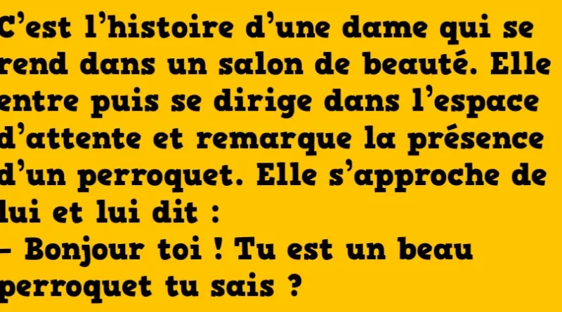 blague le perroquet insolent