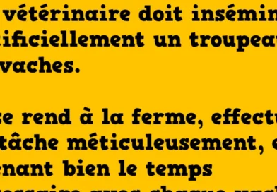 blague l'insémination des vaches