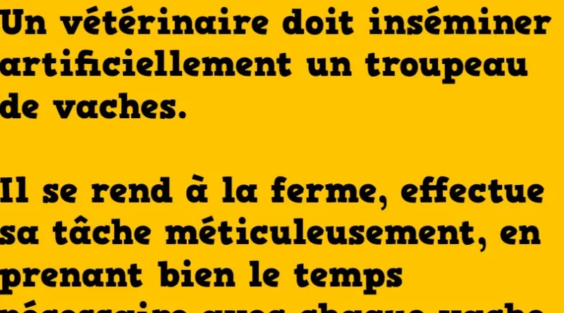 blague l'insémination des vaches