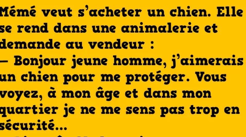 blague mémé habite un quartier chaud