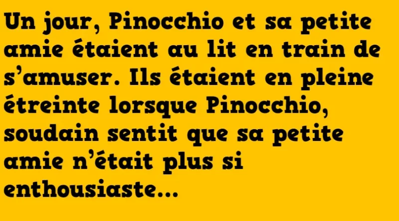 blague pinnochio (1)