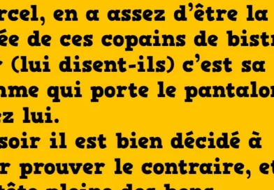 blague qui porte le pantalon à la maison