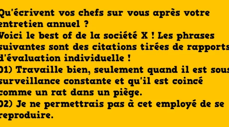 blague rapport annuel