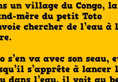 blague toto et le crocodile
