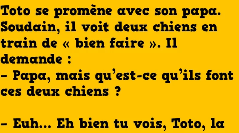 blague toto et les chiens