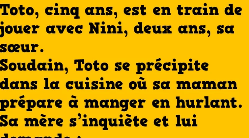 blague toto joue avec nini (1)