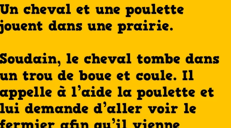blague un cheval et une poulette jouent dans une prairie