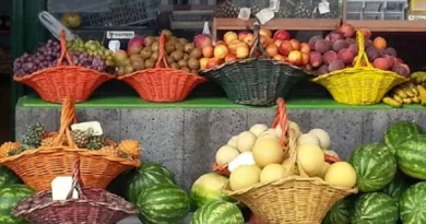 Choisissez les fruits et lÃ©gumes de saison pour faire des Ã©conomies