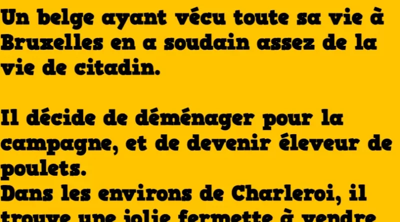 blague leleveur de poulets belge
