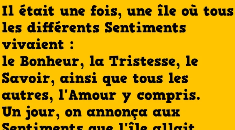 blague l'île aux sentiments