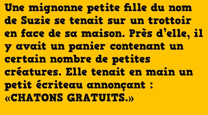 blague macron et les petits chatons
