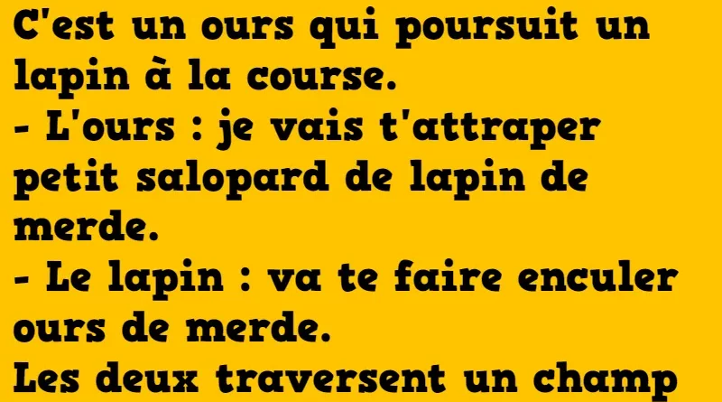 blague un ours poursuit un lapin à la course