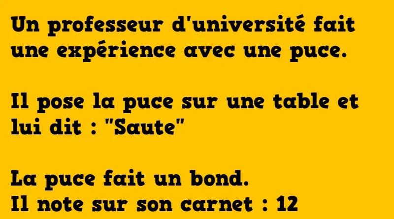 blague un professeur fait une expérience