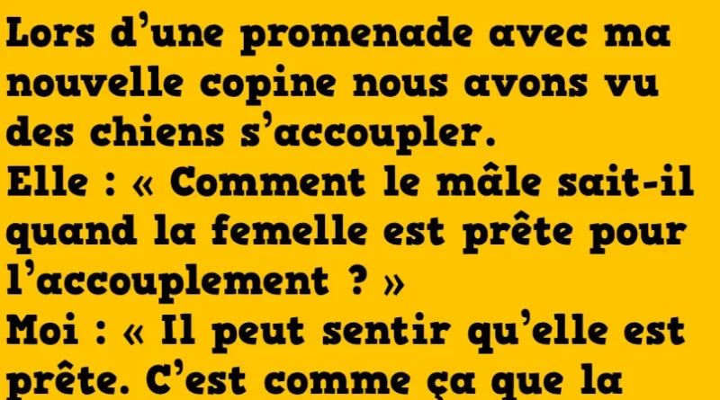 blague une affaire de chiens
