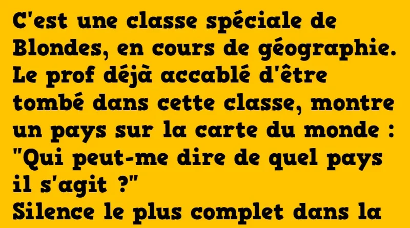 blague une classe speciale de blondes