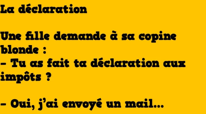 énigme la déclaration d'impôt d'une blonde