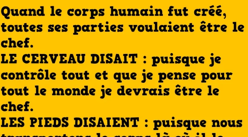 quand le corps humain fut crée