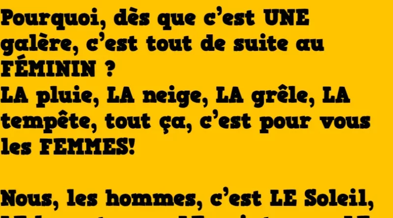 voici une leçon de grammaire amusante