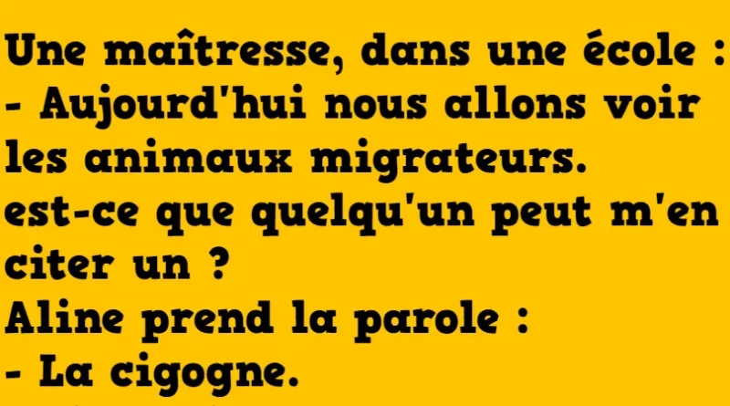 blague les oiseaux migrateurs