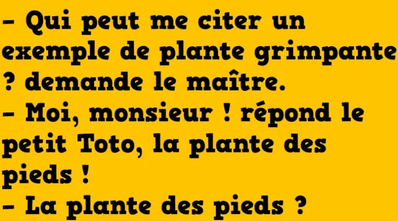 blague les plantes grimpantes