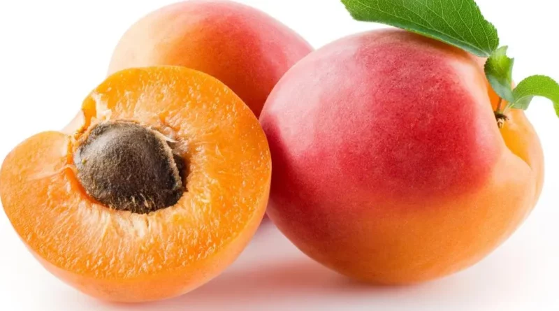 abricots_fond_blanc