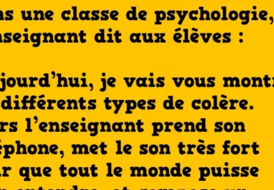 blague deux types de colère