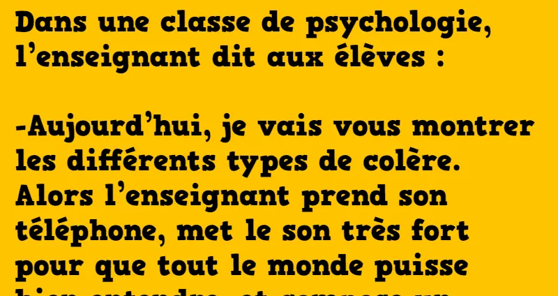 blague deux types de colère