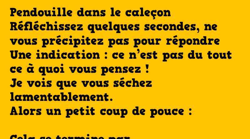 blague-en-7-lettres-pendouille-dans-le-caleçon-3