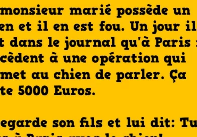 blague le chien qui parle