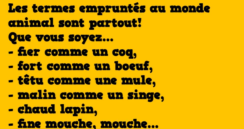 blague les termes empruntés au monde animal