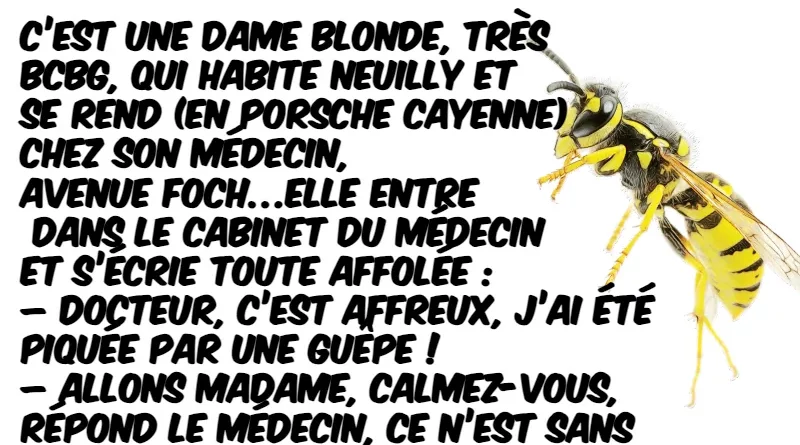 blague une blonde très bcbg