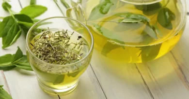 Le thé Propriétés indications thérapeutiques et posologie