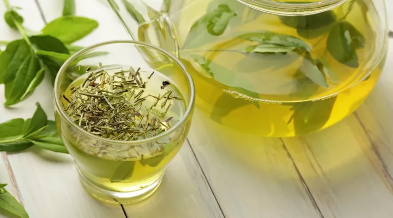 Le thé Propriétés indications thérapeutiques et posologie