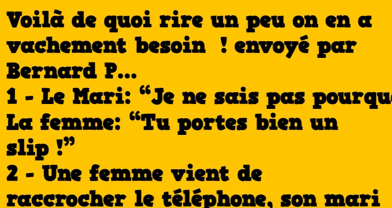 sélection de blagues courtes
