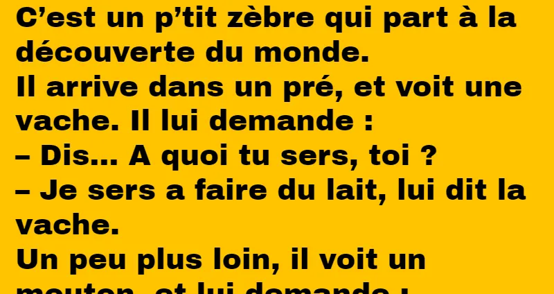 Blague le petit zèbre à la découverte du monde