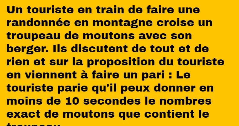 blague le touriste et le berger