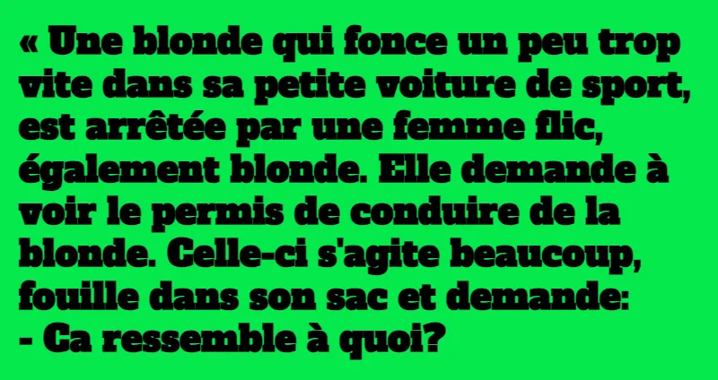 blague une blonde dans la police (1)