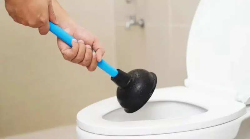 Comment déboucher des wc