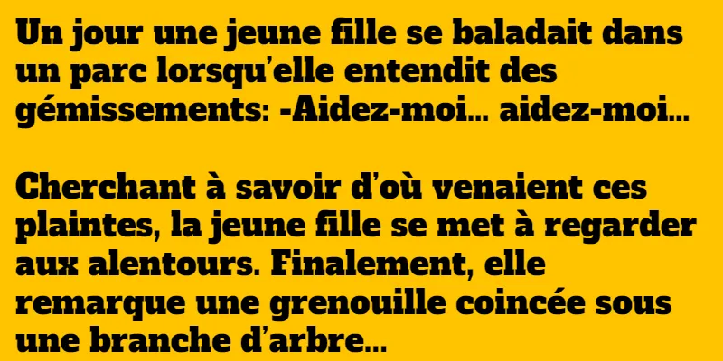blague enceinte d'une grenouille