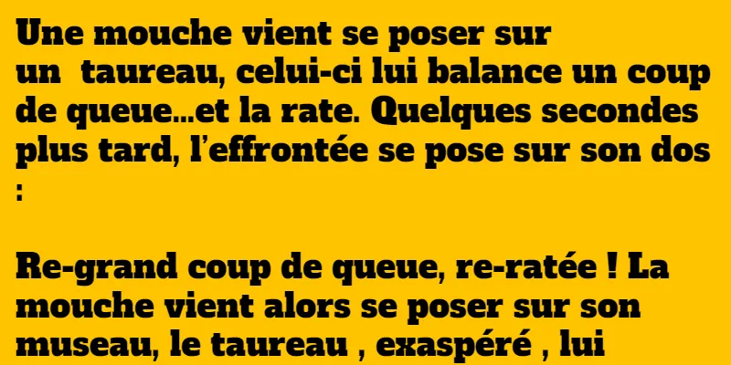 blague la mouche et le taureau