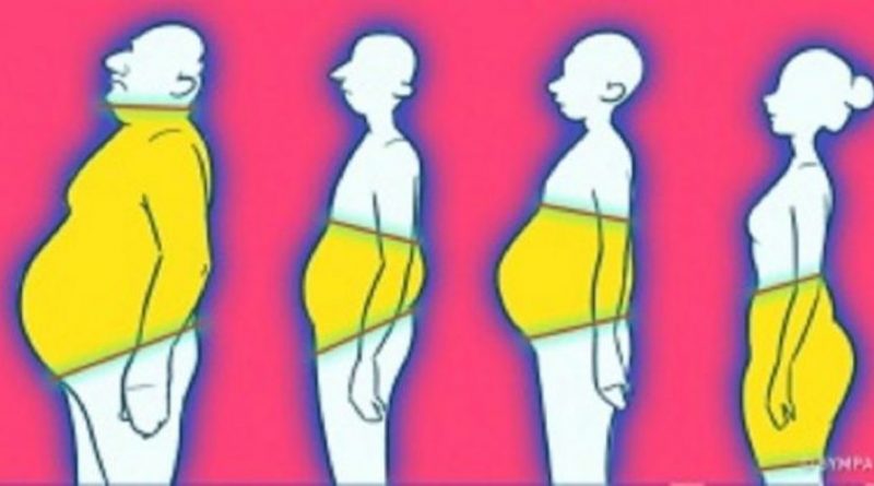 quatre-causes-du-surpoids-qui-sont-en-relation-avec-les-hormones.-640x337-1-800x445