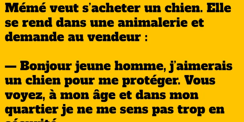 Le petit chien karaté