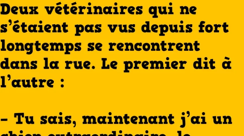 Les vétos et leurs animaux