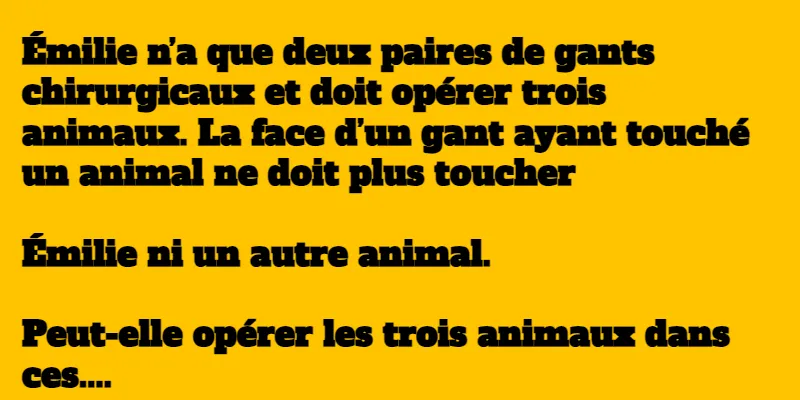 énigme dans une animalerie