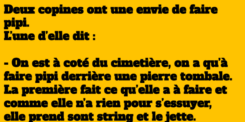 blague deux copines ont une envie de faire pipi