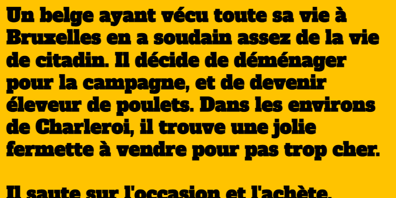 blague le citadin belge