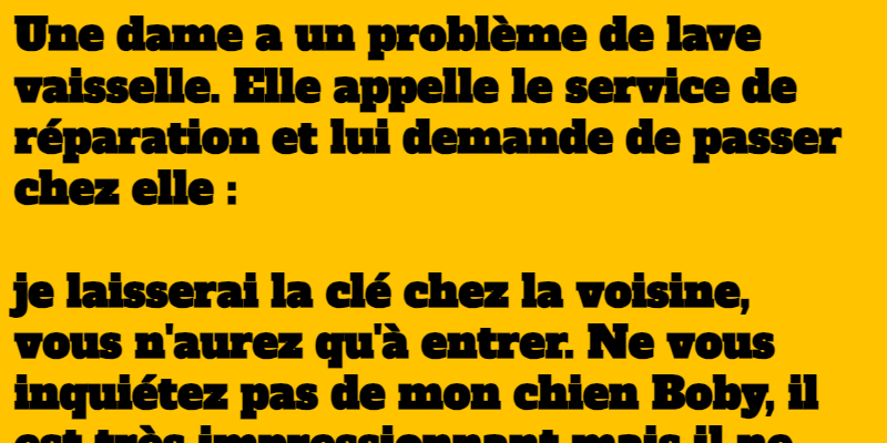 blague le réparateur et le perroquet