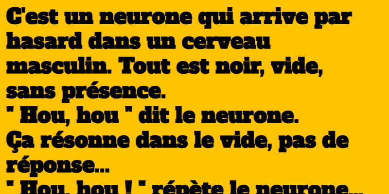 blague neurone masculin