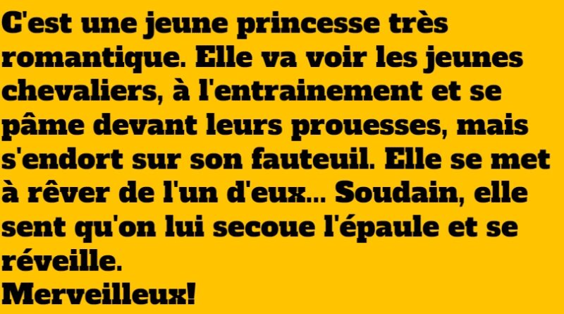 blague la jeune princesse romantique