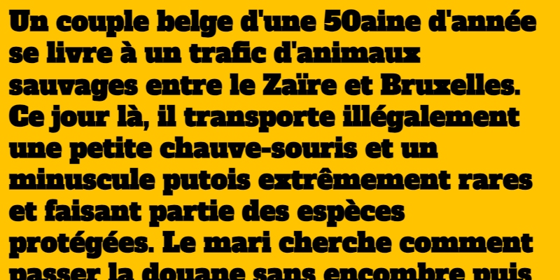 blague le putois